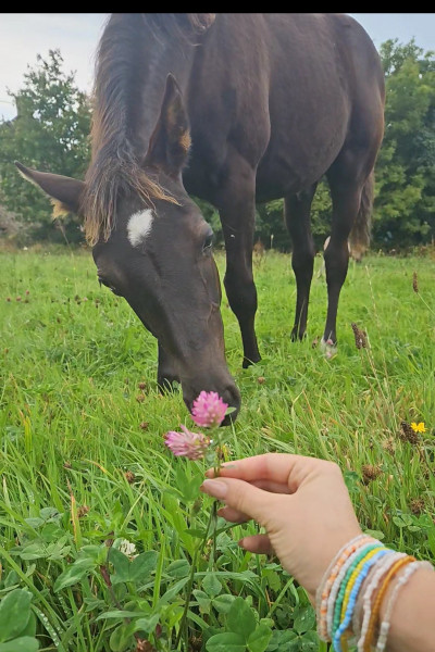 Photo de profil de lucie260693