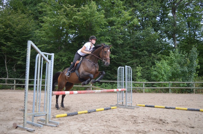 Photo de profil de lucie78420