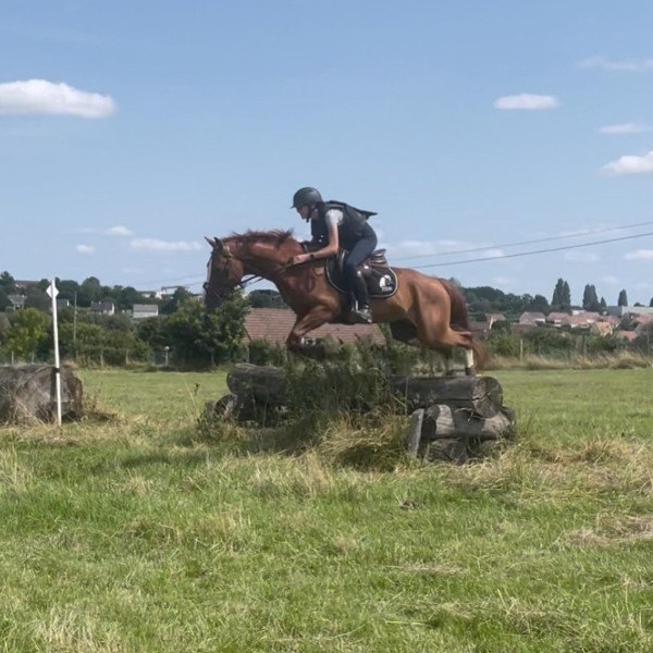 Photo de profil de lucie.gatsby