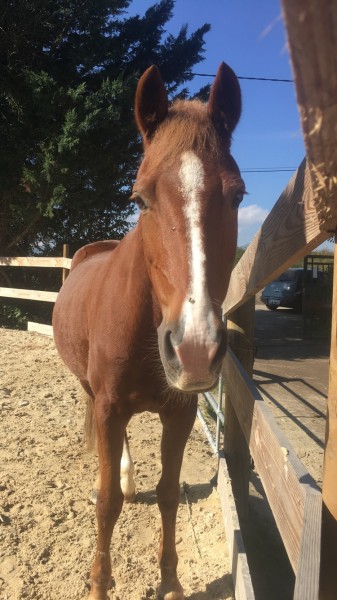 Photo de profil de lucile_cmdm