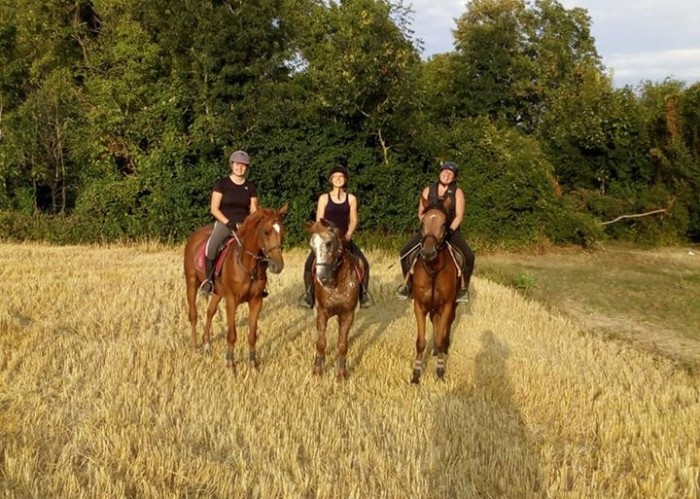 Photo de profil de lucilla