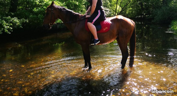 Photo de profil de luckydemarlio