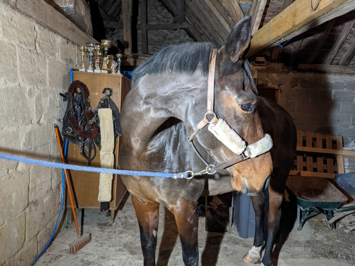 Photo de profil de ludlm