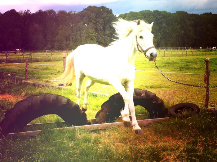 Photo de profil de lulu0001