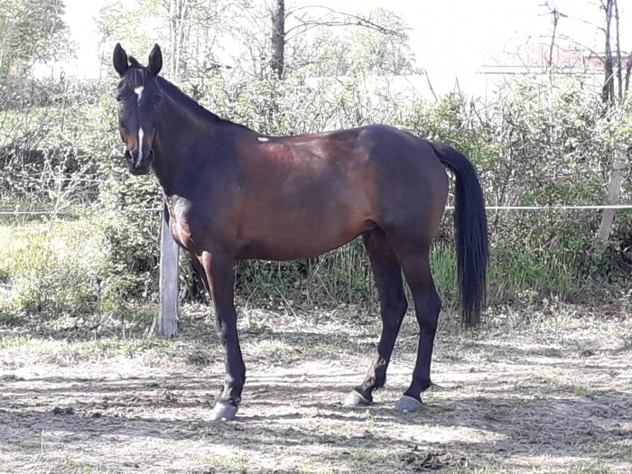 Photo de profil de lulu1836