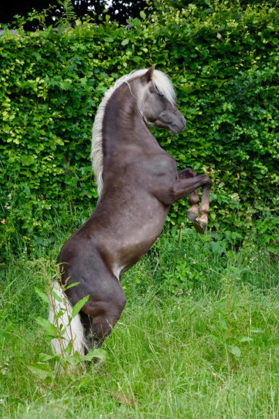 Photo de profil de lulug12