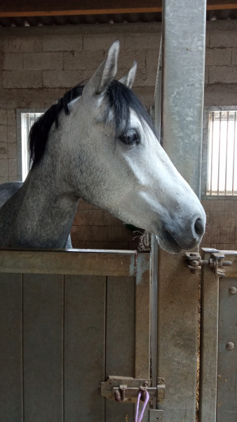 Photo de profil de lulusurponey