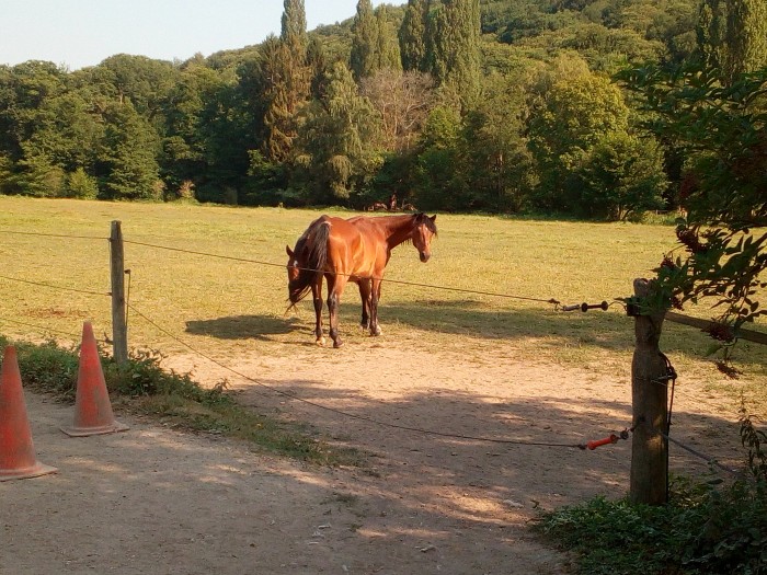 Photo de profil de lunecyrano