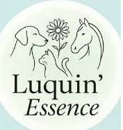 Photo de profil de luquinessence