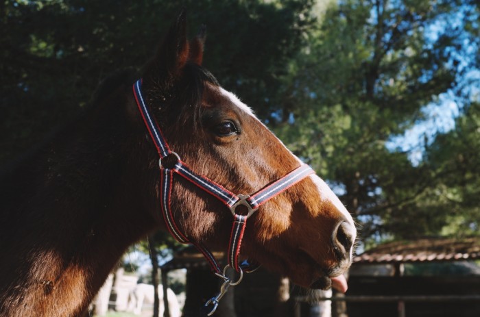 Photo de profil de luunx