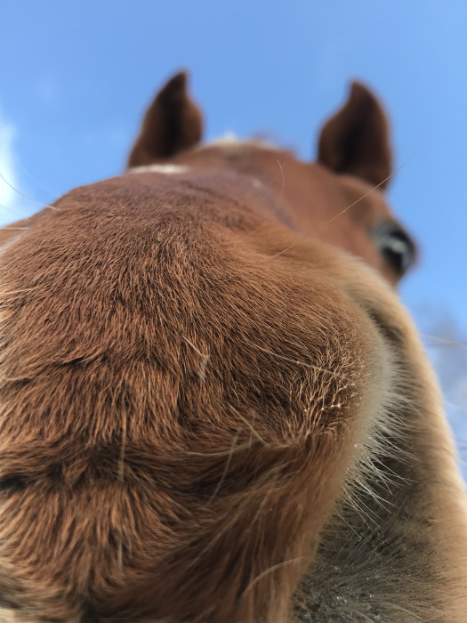 Photo de profil de lyil.gr