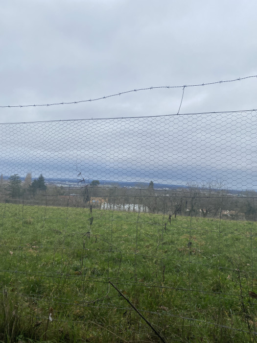 Photo de profil de lyna_fern09