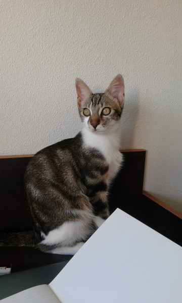 Photo de profil de lyra.a