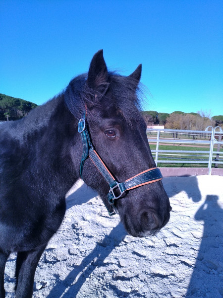 Photo de profil de lyrha