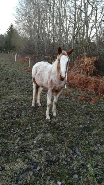 Photo de profil de mabodu63