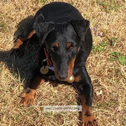 Photo de profil de macronemmanuel