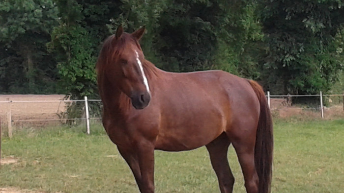 Photo de profil de macyma10