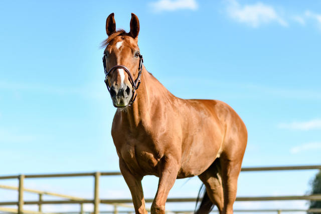 Photo de profil de madodu35