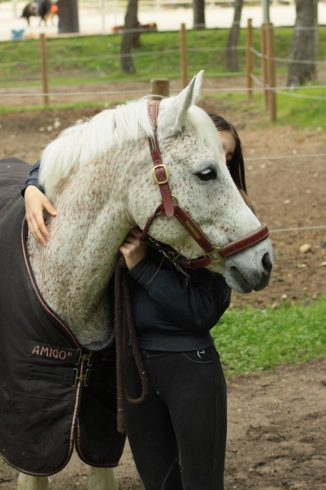 Photo de profil de maebourgeix
