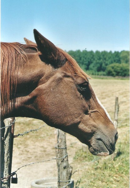 Photo de profil de maejo
