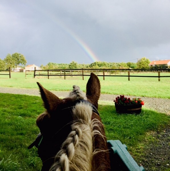 Photo de profil de maelechevaux