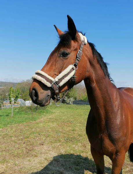 Photo de profil de maelleguerber