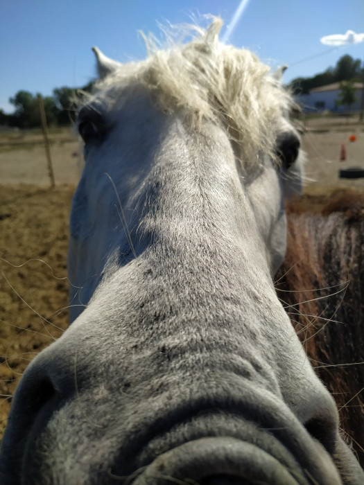 Photo de profil de maelop30