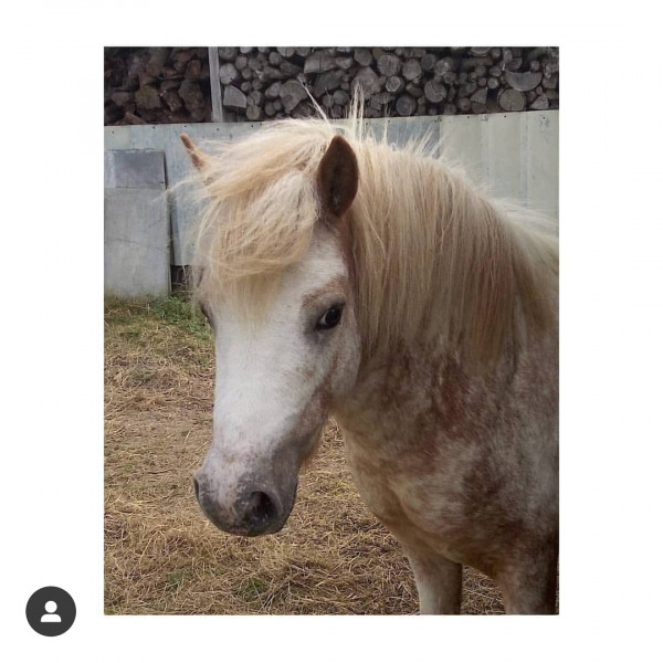 Photo de profil de maeva.cookie