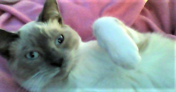 Photo de profil de magic56