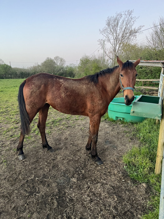 Photo de profil de magicboeing85