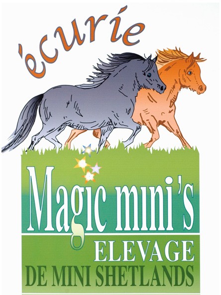 Photo de profil de magicminis