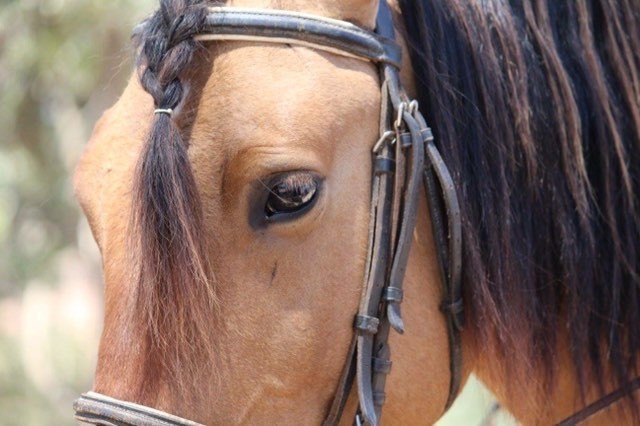 Photo de profil de magpidou