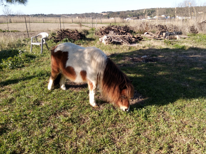 Photo de profil de maguy34560