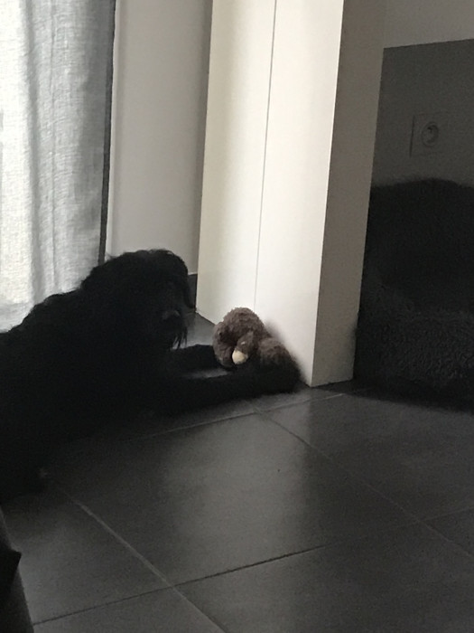 Photo de profil de maia1234