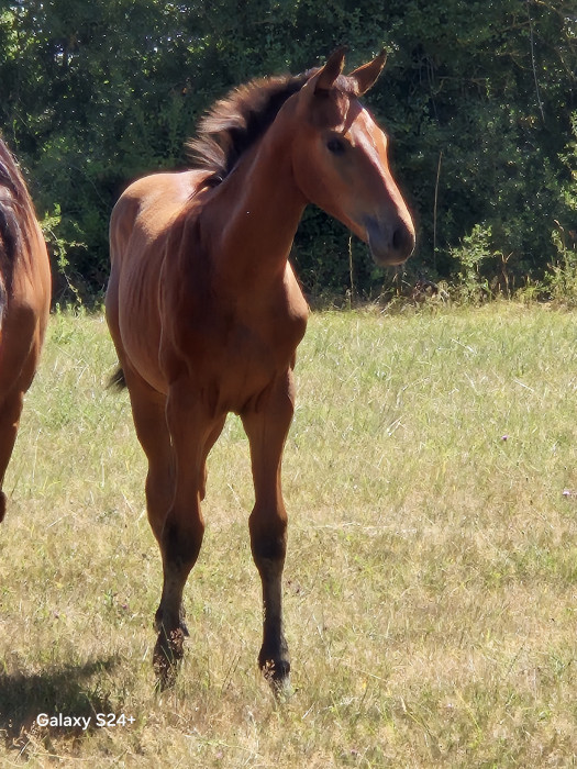 Photo de profil de mairerie49