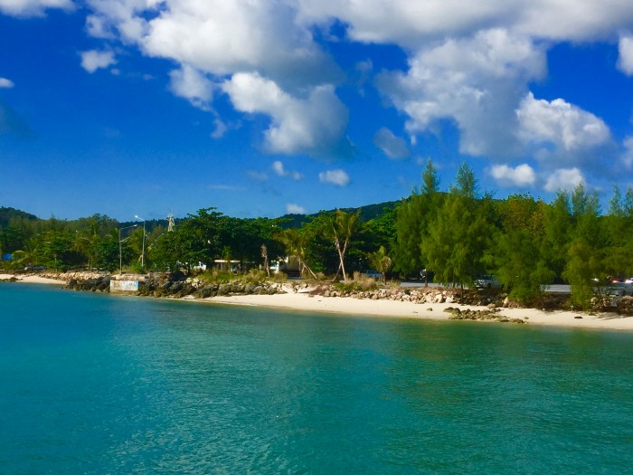 Photo de profil de maitai