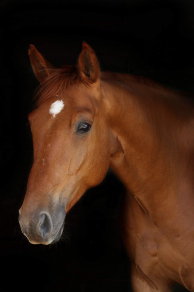 Photo de profil de mallaurya