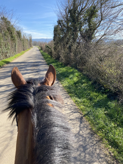Photo de profil de malo2107