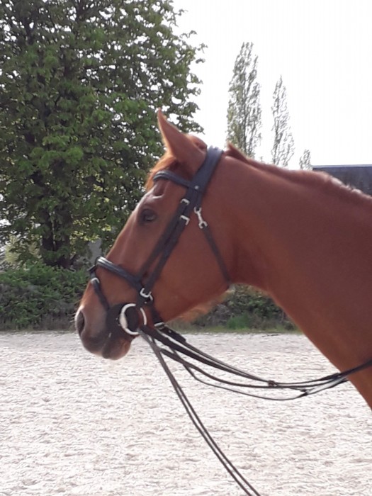 Photo de profil de malvina_020219