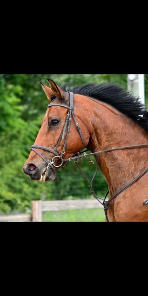 Photo de profil de mamachloe73