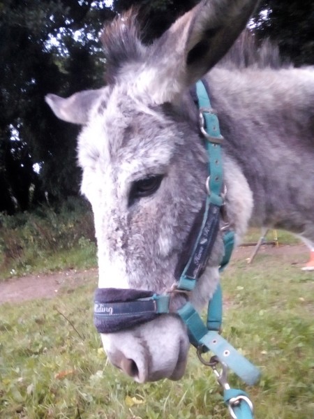 Photo de profil de mama_co