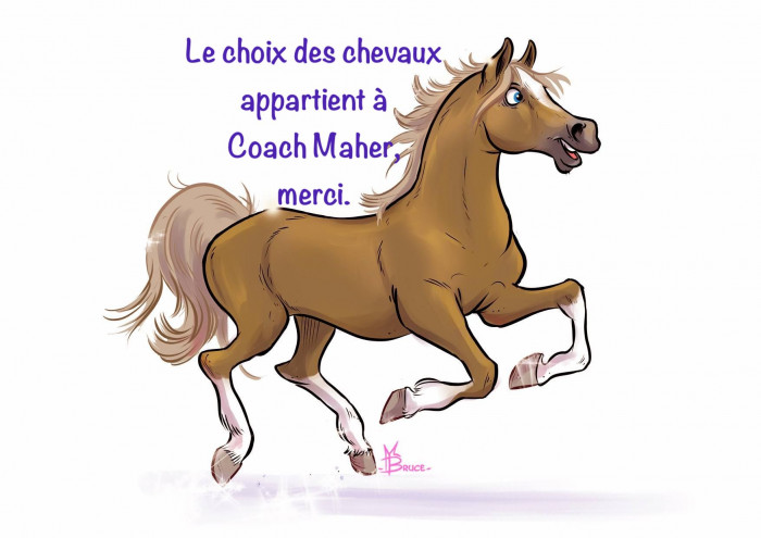 Photo de profil de mamanacheval