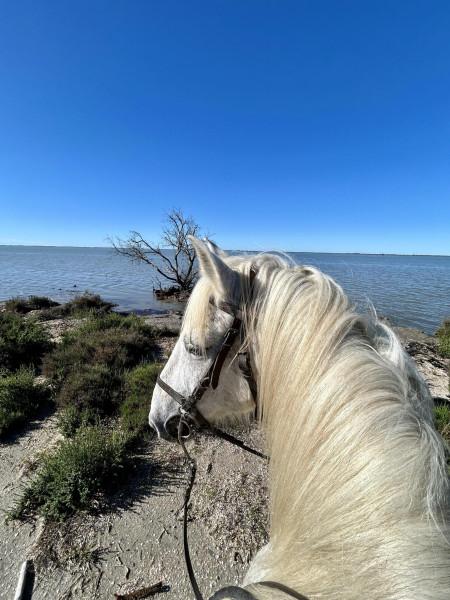 Photo de profil de manadedemejanes