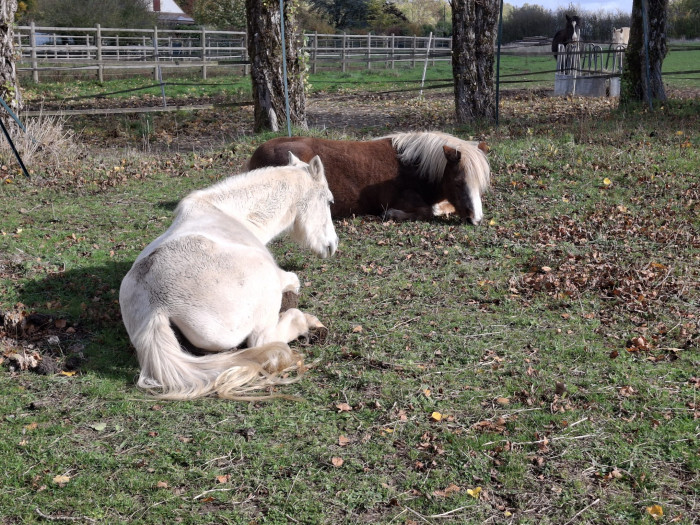 Photo de profil de mandine77169