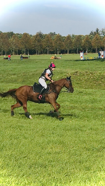 Photo de profil de mandyqueen