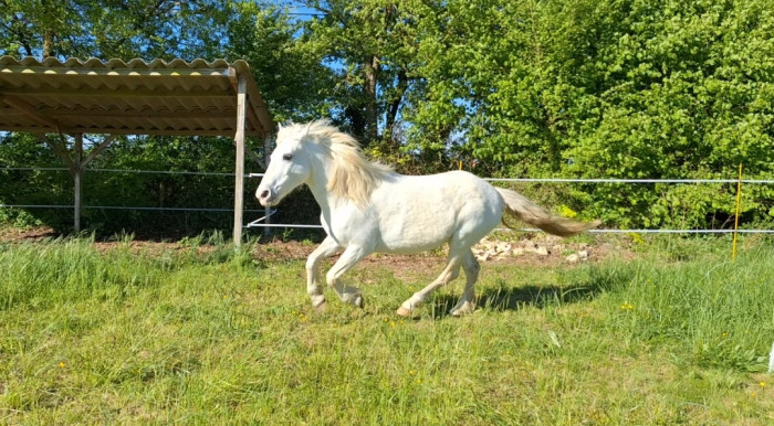 Photo de profil de manidex