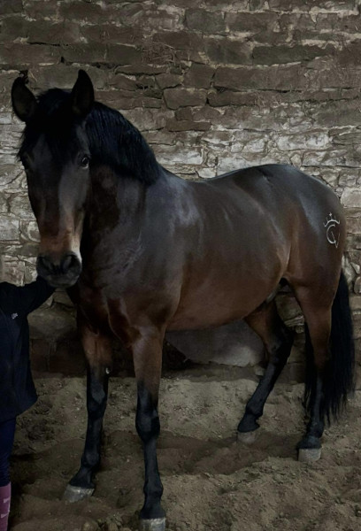 Photo de profil de manon1903