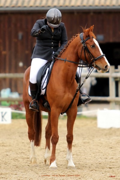 Photo de profil de manonbsclu