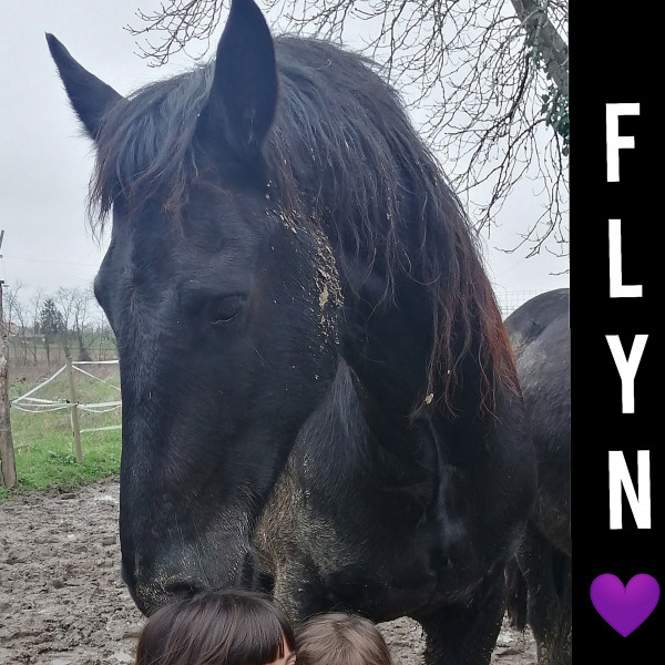 Photo de profil de manon_bthm