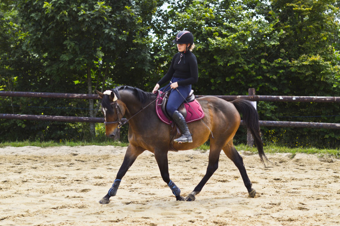 Photo de profil de manonh77